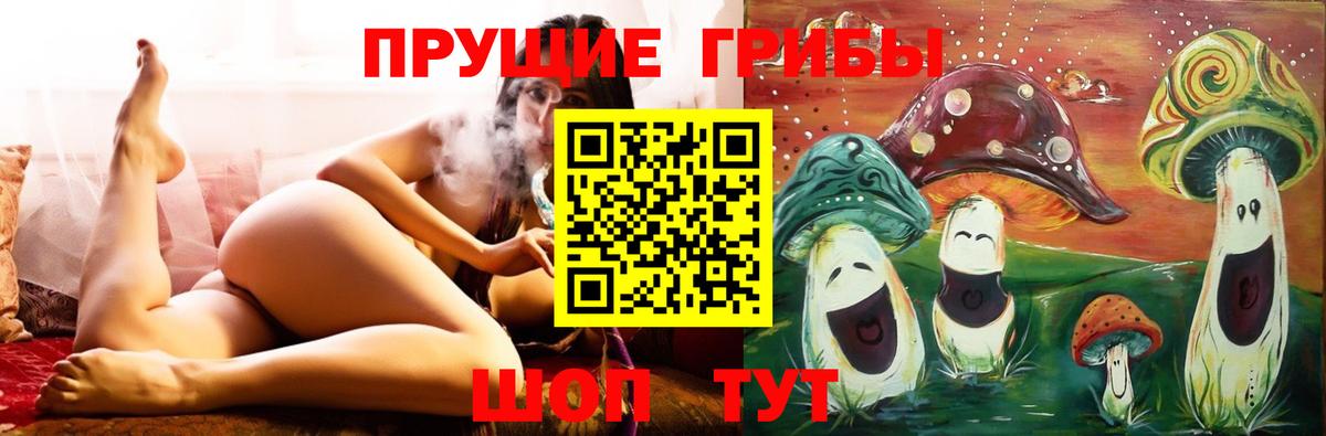 Электросталь  Галлюциногенные грибы прущие грибы  Вход с VPN 